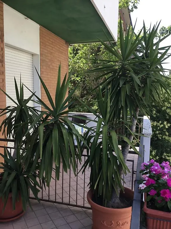 Hotel Mirella Rimini